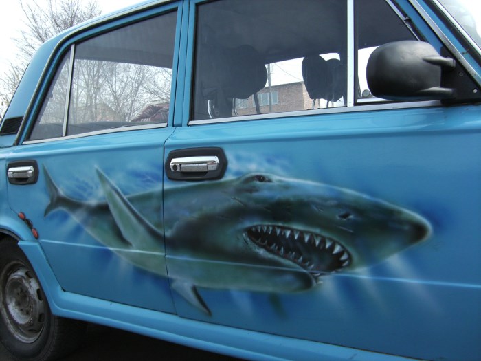 акула авто 
